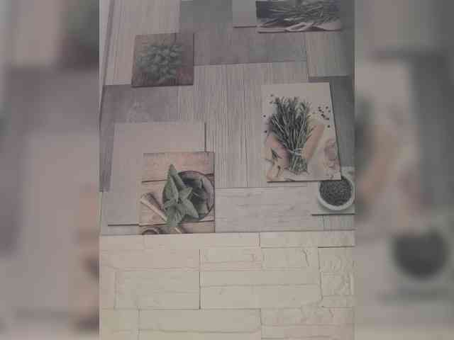 Anesteishen Anesteishen