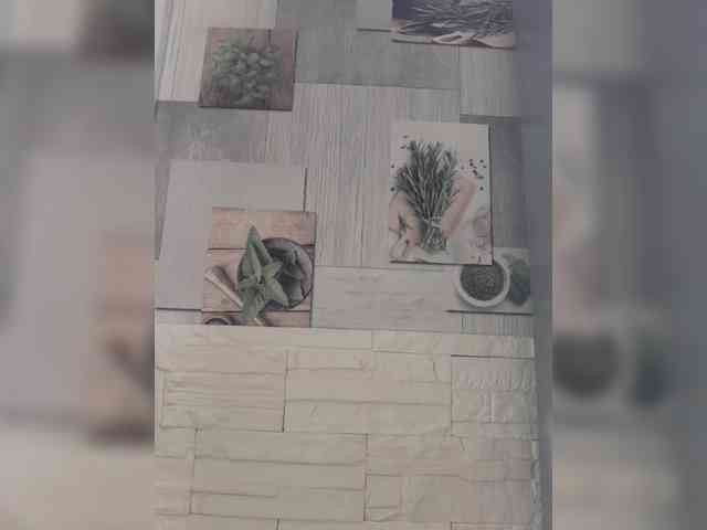 Anesteishen webcam