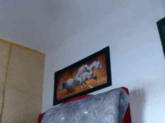 JANEX69SQUIRT webcam