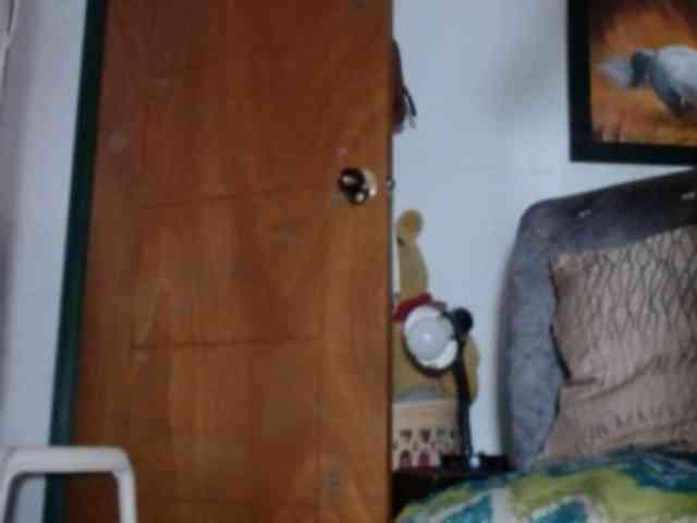 JANEX69SQUIRT webcam