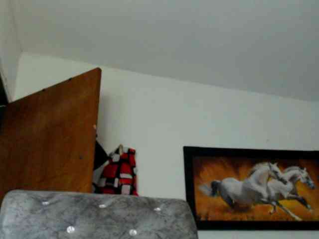 LETSQUIRTWILDLY webcam
