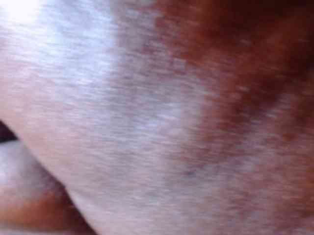 squirtHellfire webcam