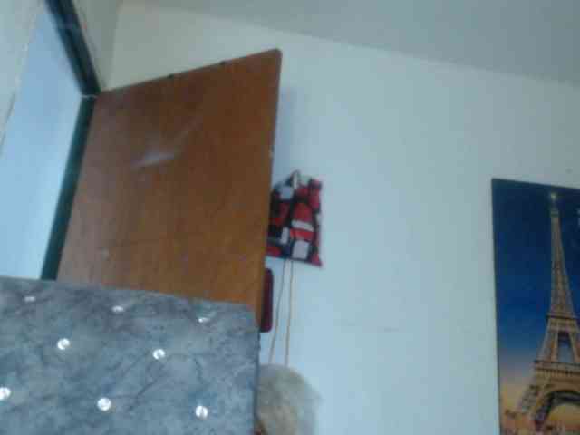 LETSQUIRTWILDLY69 webcam