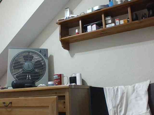 JuanitaWouti webcam