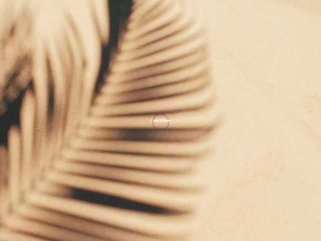 LadyOfDesire's BongaCams show and profile