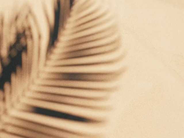 LadyOfDesire's BongaCams show and profile