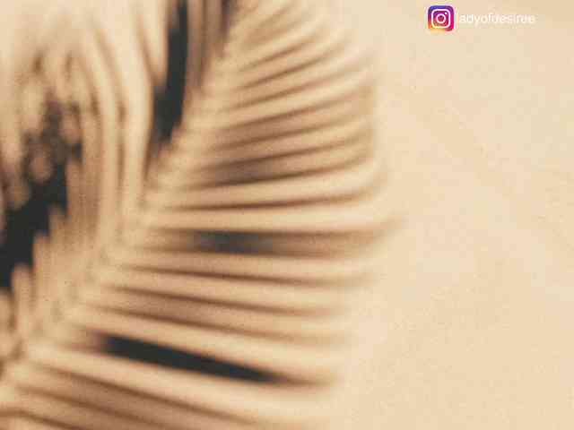 LadyOfDesire LadyOfDesire