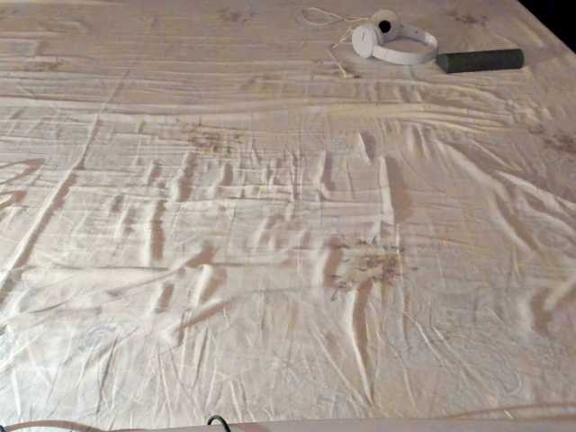 AngelNicolle's BongaCams show and profile