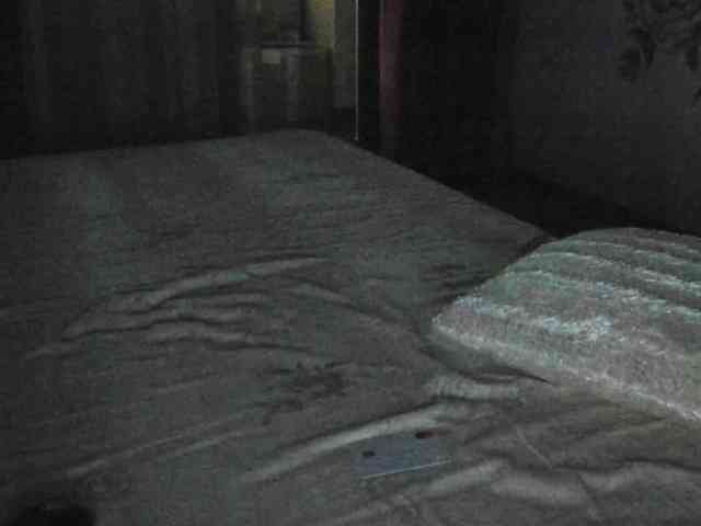 AngelNicollex webcam