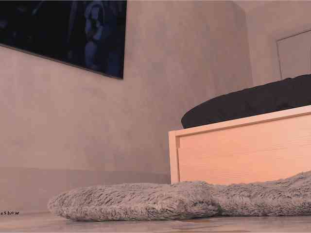 theanytimeshow webcam