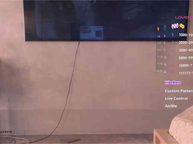 theanytimeshow webcam