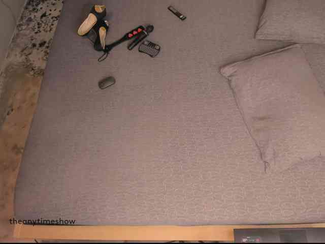 theanytimeshow webcam