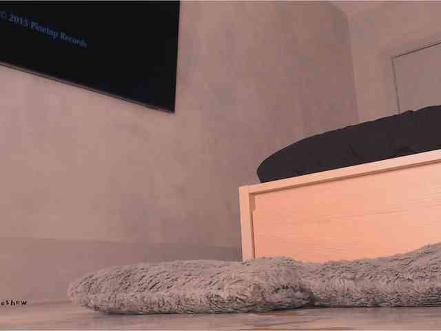 theanytimeshow webcam