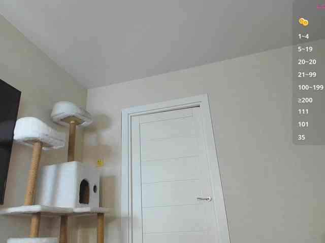 A_Lisa webcam