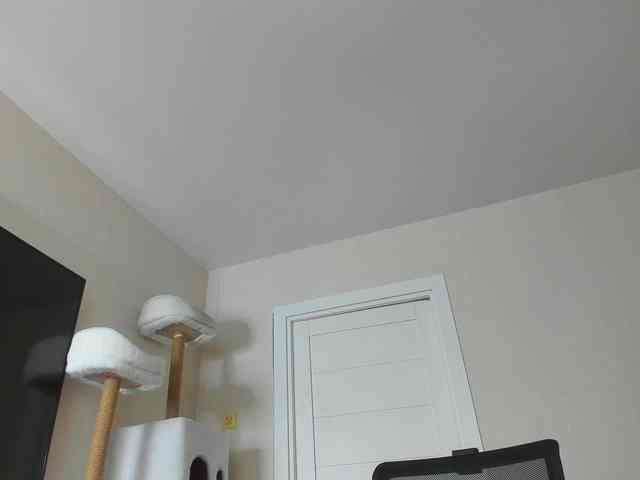 A_Lisa webcam