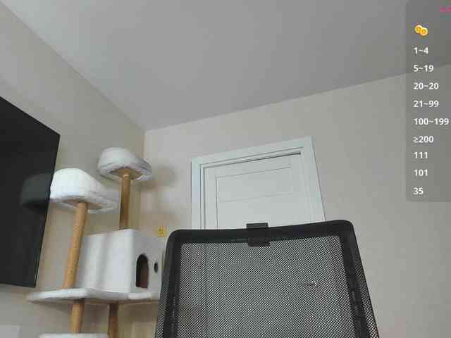 A_Lisa webcam