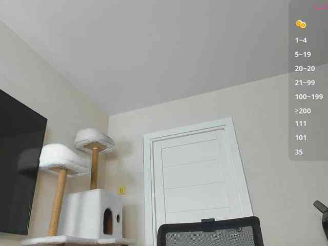 A_Lisa webcam