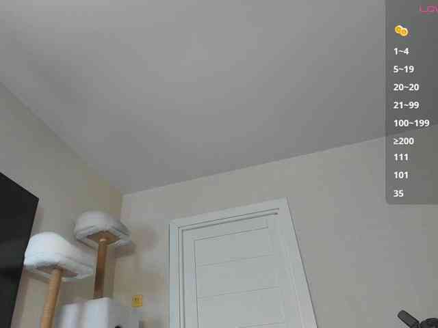 A_Lisa webcam
