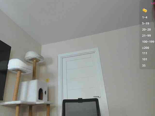 A_Lisa webcam