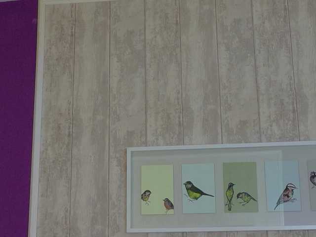 XKimoraX's BongaCams profile