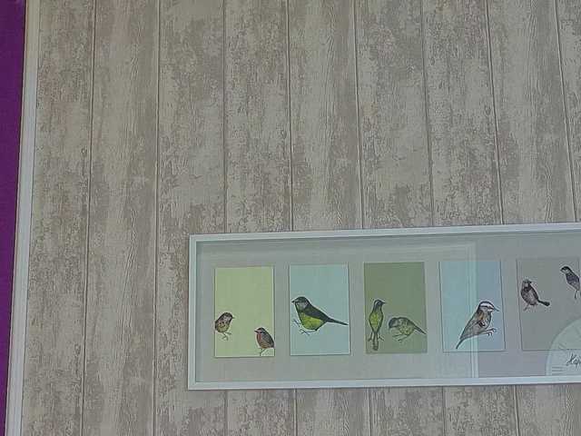 XKimoraX's BongaCams show and profile