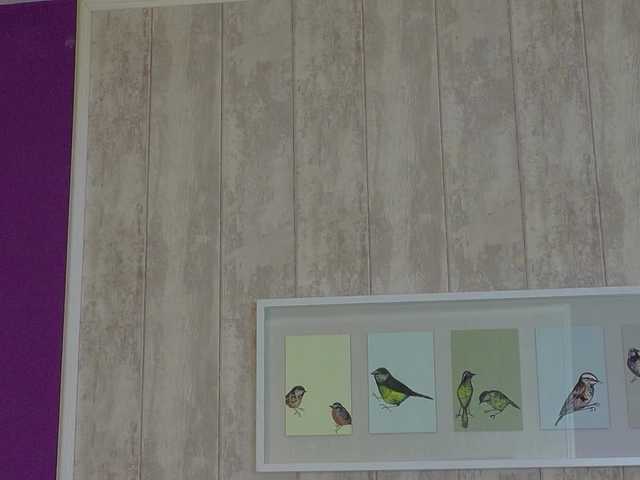 XKimoraX's BongaCams profile