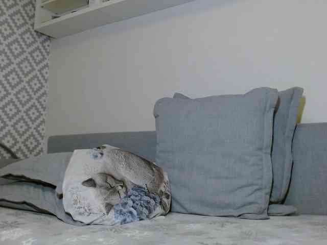 albinochka888 webcam