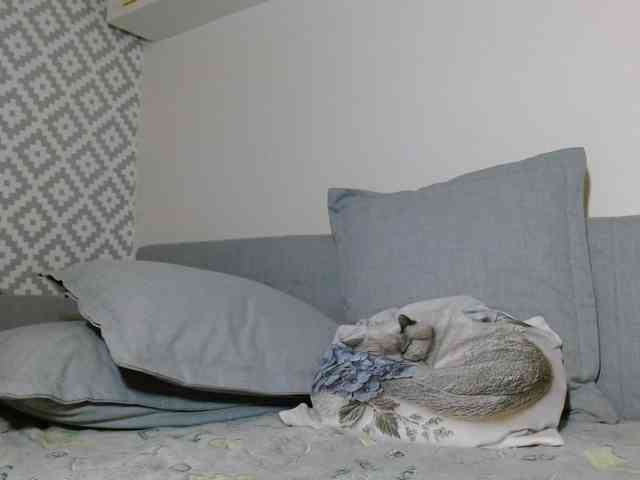 albinochka888 webcam
