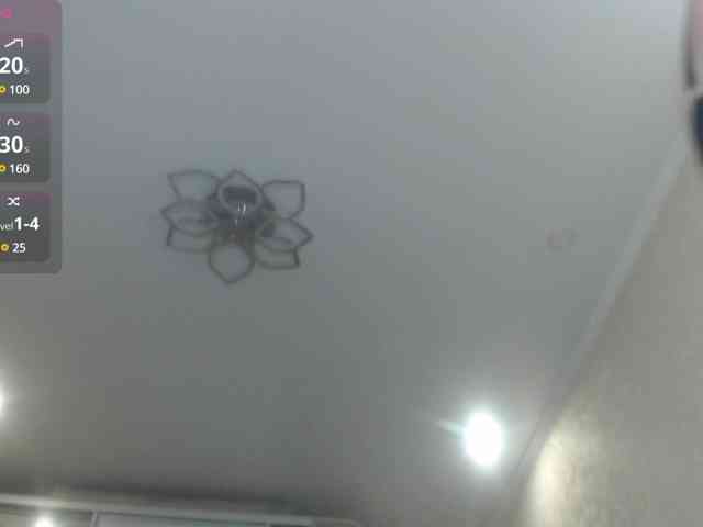 Spinners webcam