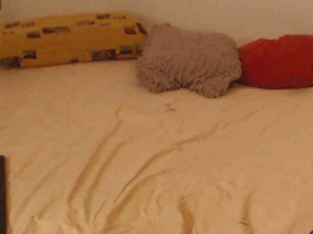 EdenaVega webcam