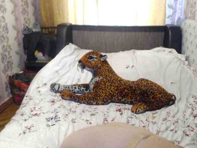 CrazzyBitch webcam