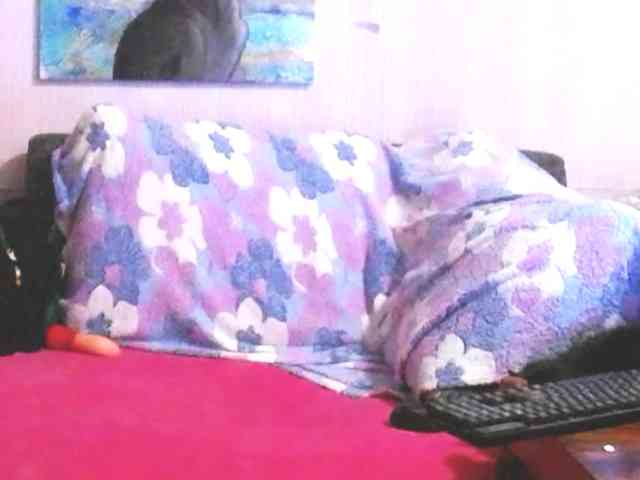 SkorpionAnn webcam
