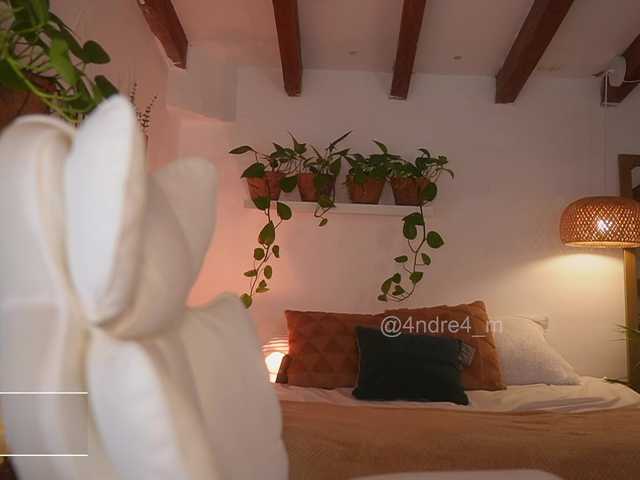 Meegan's BongaCams show and profile