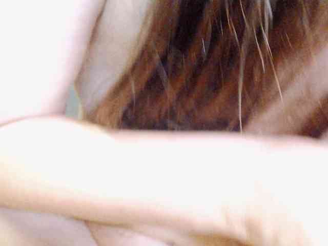 hotmiamix webcam