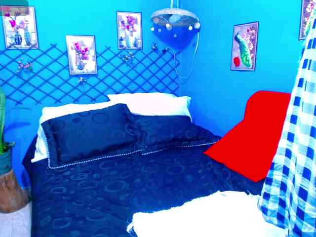 AdaBlake webcam