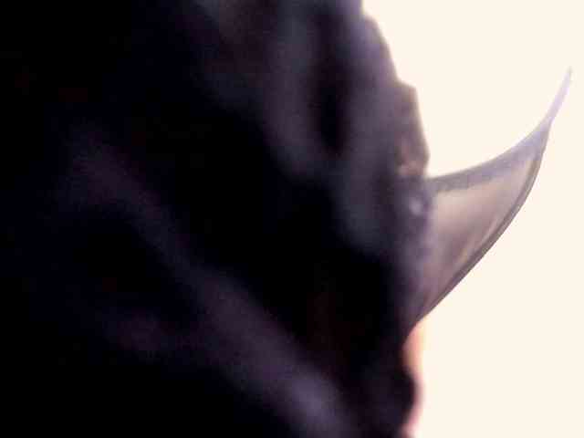 VeronikaNew webcam