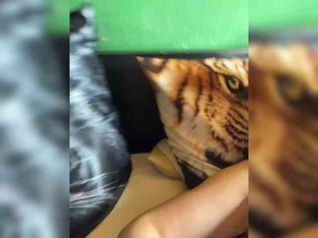 Vishenkakiss Vishenkakiss