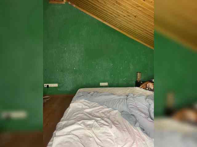 Vishenkakiss Vishenkakiss