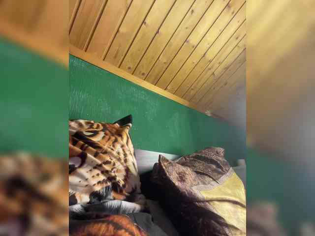 Vishenkakiss webcam