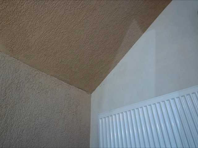 curvyana's BongaCams show and profile