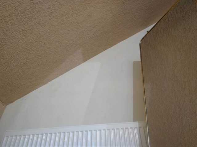 curvyana's BongaCams show and profile