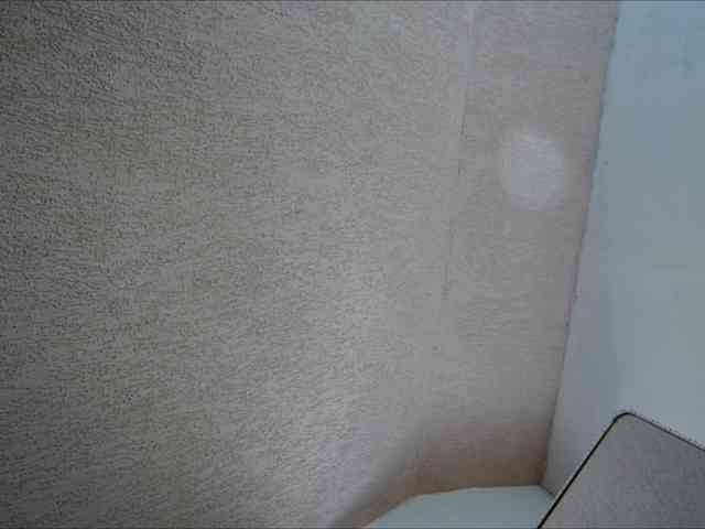 curvyana webcam