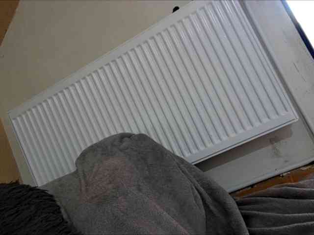 curvyana webcam