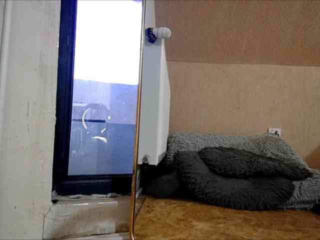 curvyana Live Webcam on BongaCams