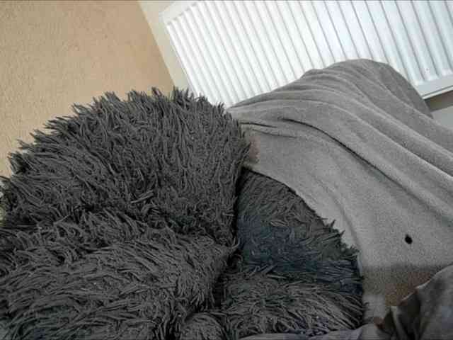 curvyana webcam