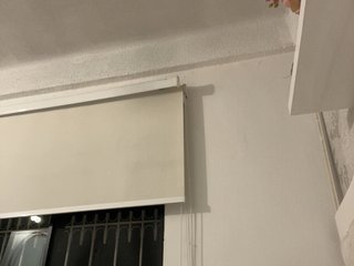 SallyeLeins Porn Show