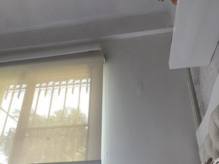 SallyeLeins Porn Show