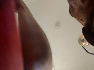 SallyeLeins Porn Show