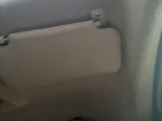 SallyeLeins Porn Show