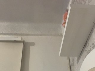 SallyeLeins Porn Show